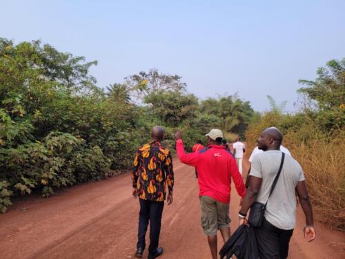 Visite plantation manioc_ Sibiti_Congo_ Brazzaville
